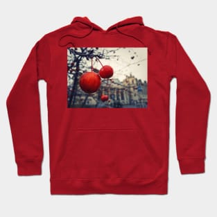 red berries Hoodie